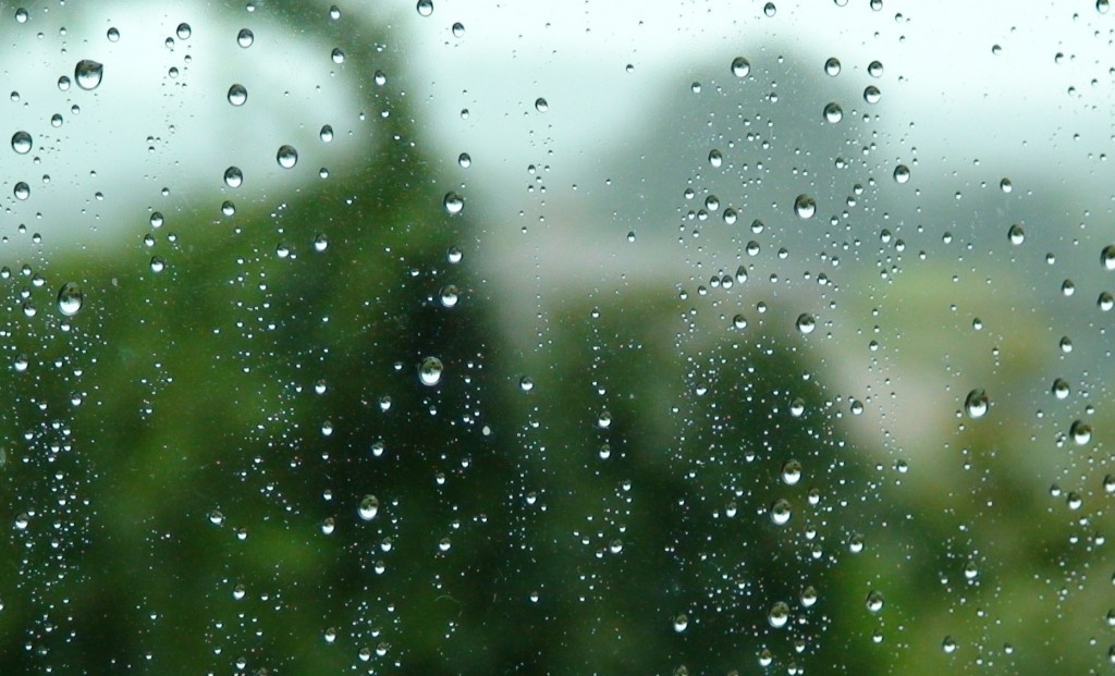DSC00040