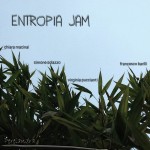 entropia new